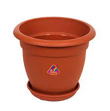 Picture of Dahlia Pot Family